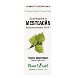 Mesteacan seed extract, 50 ml, Plant Extrakt