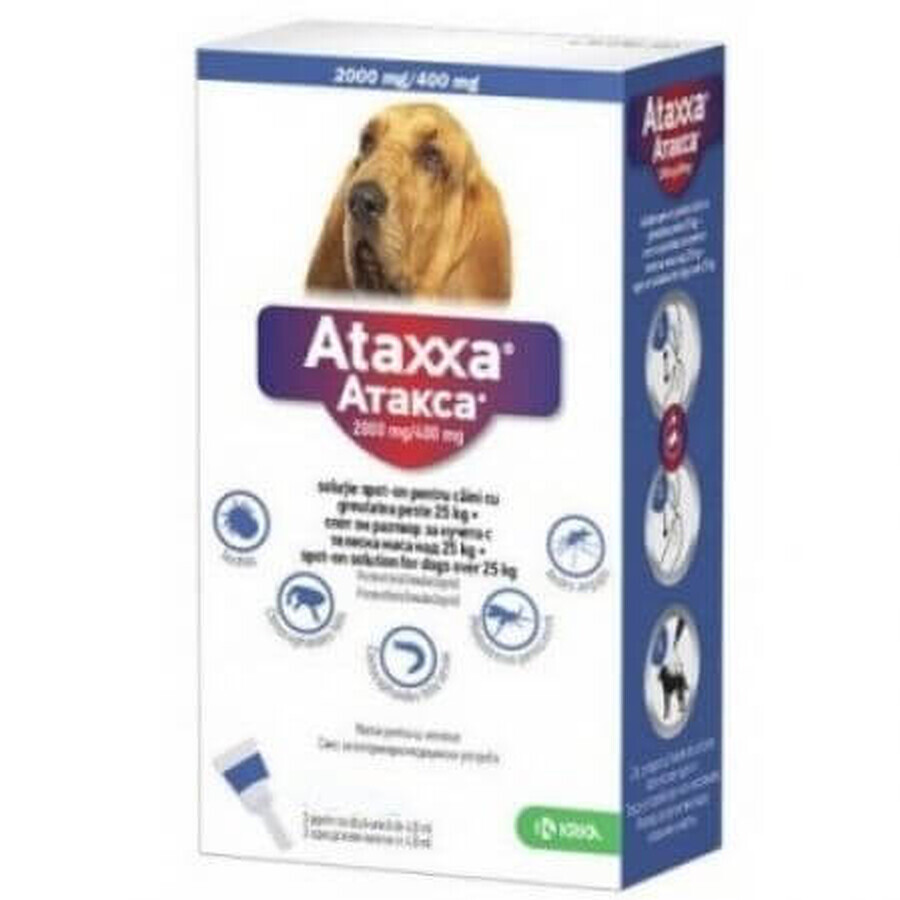 Uitwendig antiparasiticum voor honden 10-25 kg, 100+500 mg/ml, 3 pipetten x 2,5 ml, Ataxxa 250