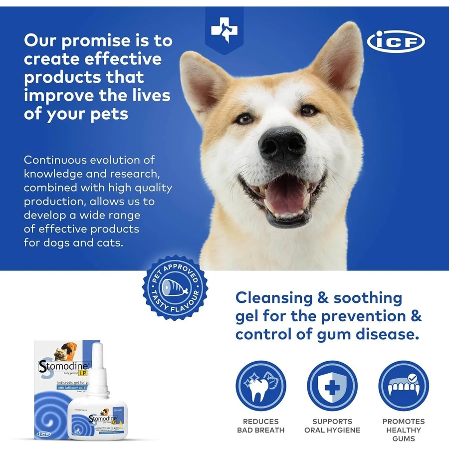 Gel antisettico orale per cani e gatti Stomodine LP, 50 ml, ICF