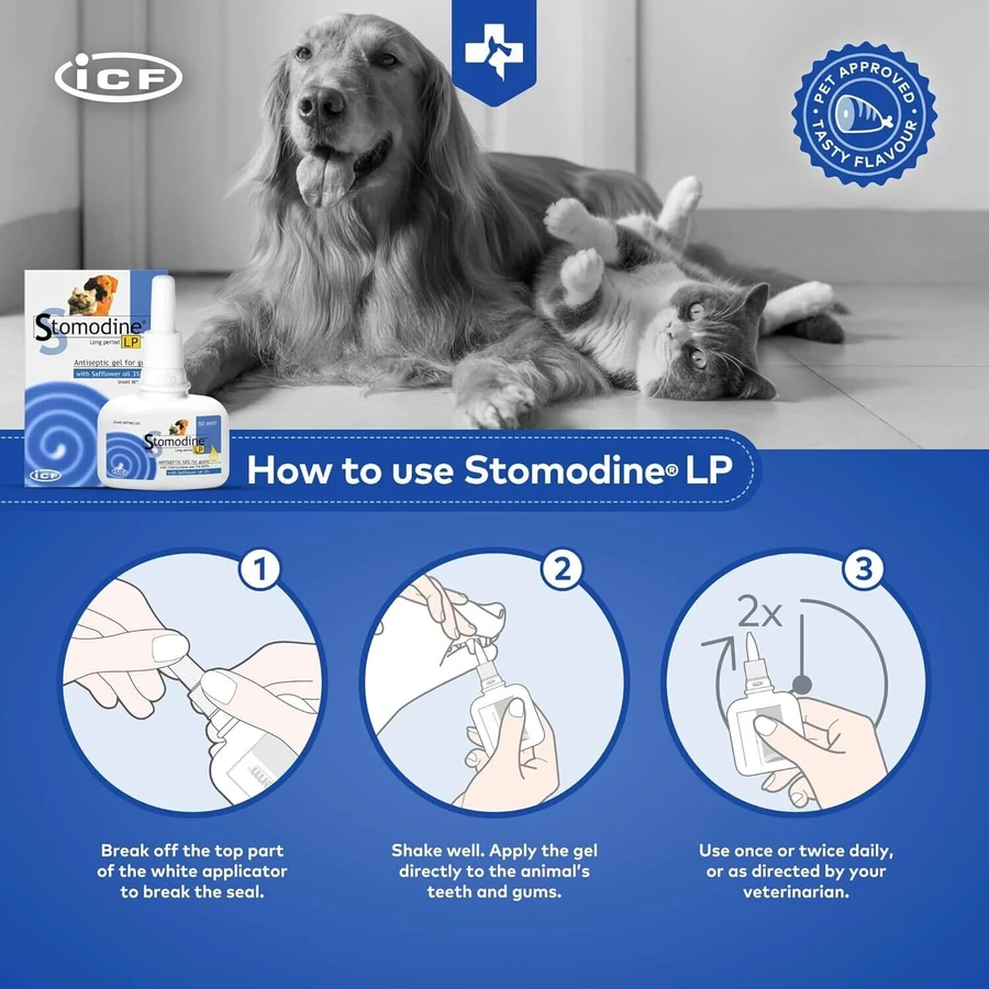 Gel antisettico orale per cani e gatti Stomodine LP, 50 ml, ICF