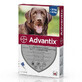 Spot-On Advantix 400 ontwormingsoplossing voor honden Spot-On Advantix 400, 1 pipet, Bayer Vet OTC