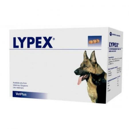 Adjuvansupplement tegen het malabsorptiesyndroom bij honden en katten Lypex, 60 capsules, VetPlus