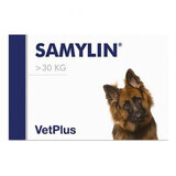 Nutraceutical supplement for maintaining liver health in large dogs >30 kg Samylin Large Breed, 30 tablets, VetPlus