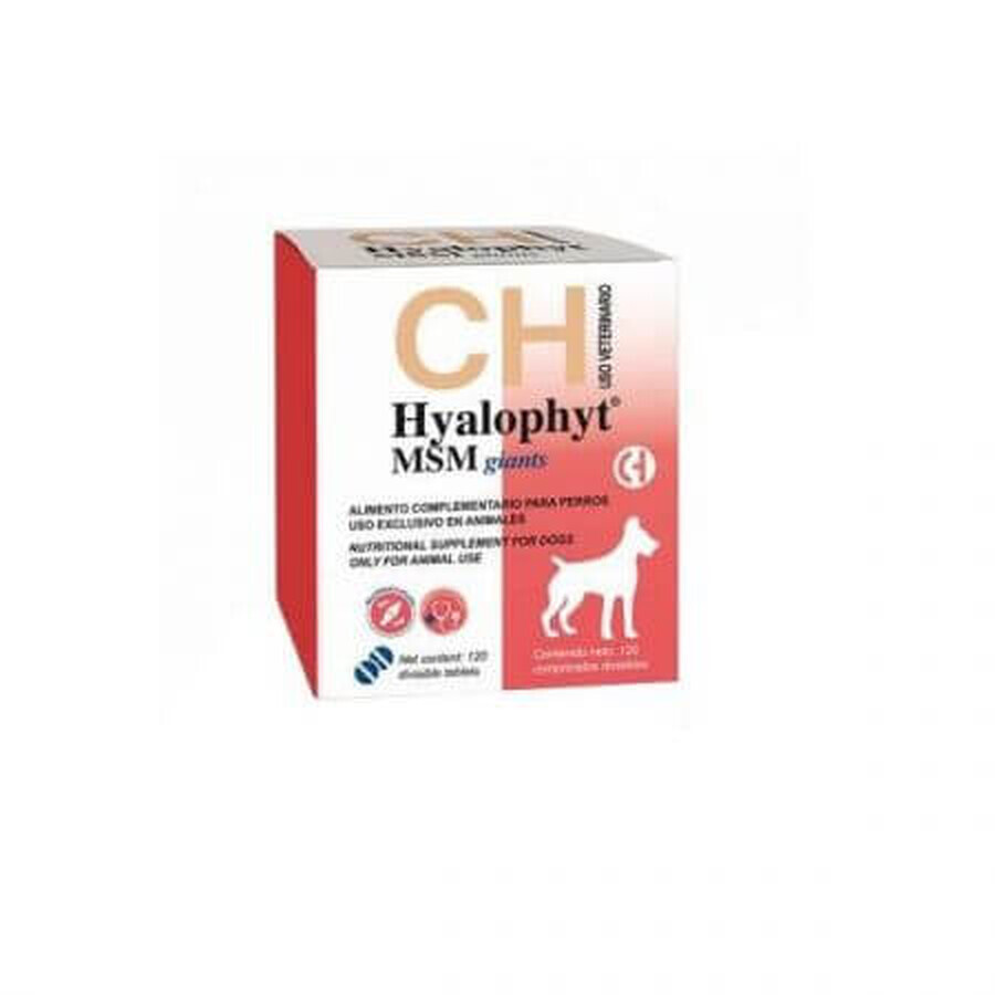 Integratore nutrizionale per articolazioni, per cani di grossa taglia Hyalophyt MSM Large, 120 compresse, Chemical Iberica