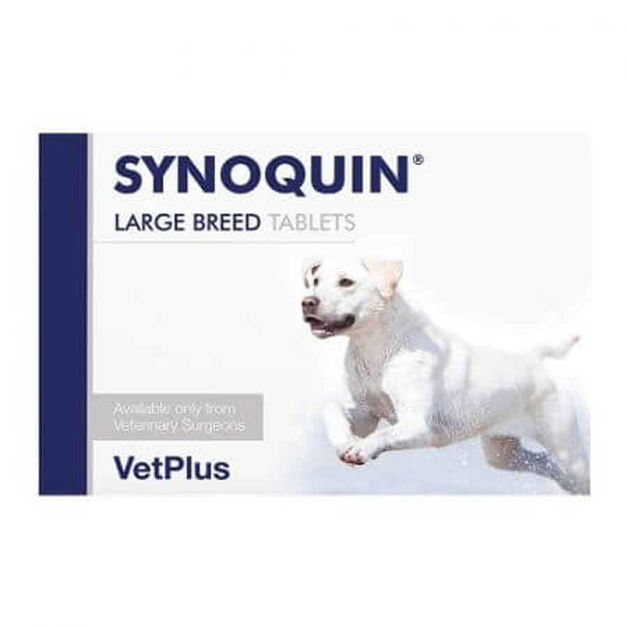 Nutritional supplement for joint support in large dogs Synoquin EFA Large Breed, 30 tablets, VetPlus