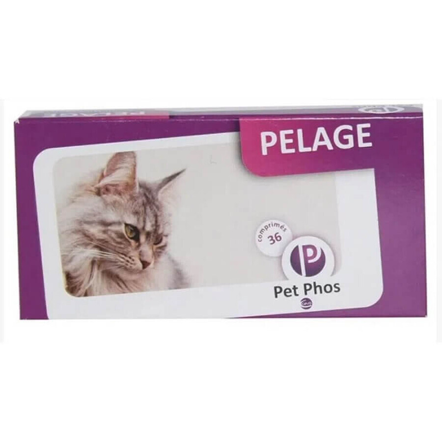 Ergänzungsmittel zur Verbesserung des Aussehens von Haut und Fell bei Katzen Pet Phos Felin Feline Pelage, 36 Tabletten, Ceva Sante