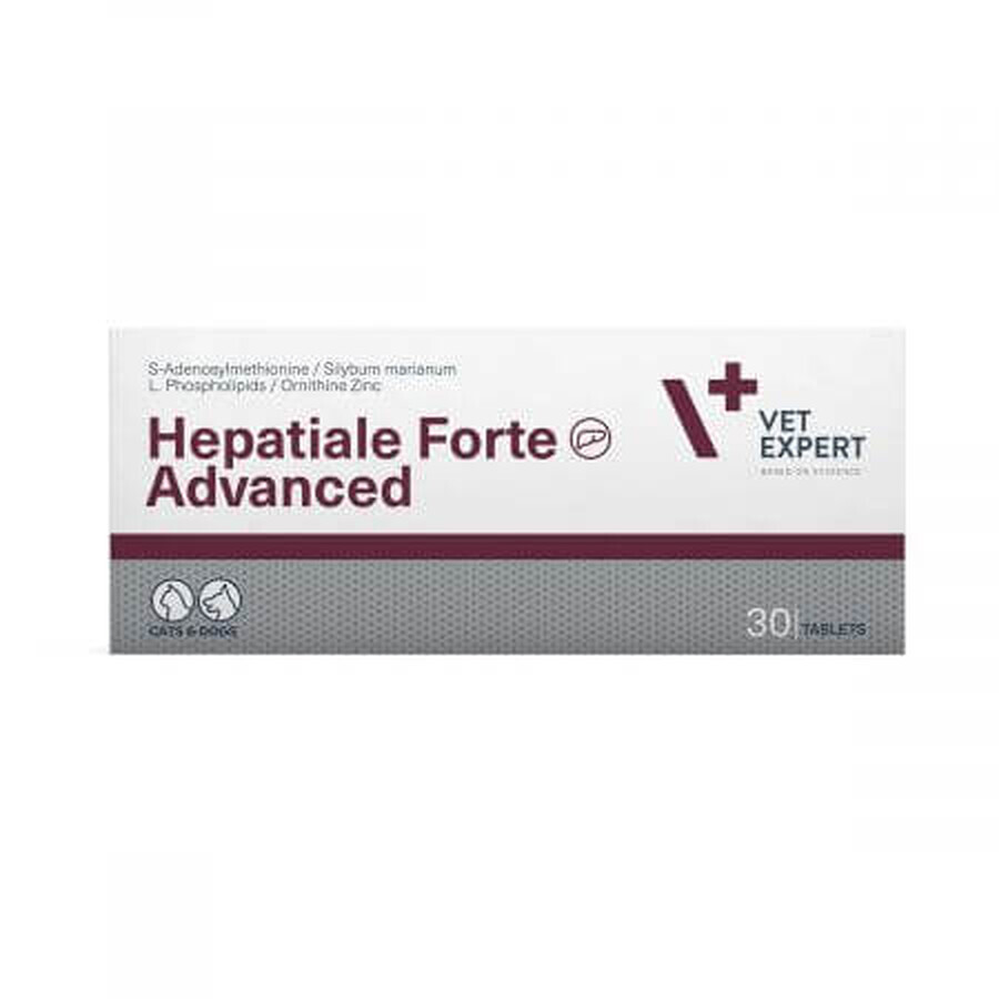 Supplement voor versterking van de leverfunctie bij honden en katten Hepatiale Forte Advanced, 30 tabletten, VetExpert