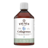 Hydrolyzed liquid collagen and herbal extracts, 500ml, Faunus