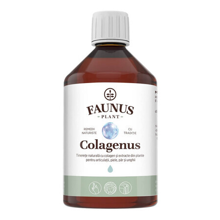 Hydrolysiertes flüssiges Kollagen, 500ml, Faunus