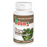 Iron 14mg, 90 tablets, Adams Vision