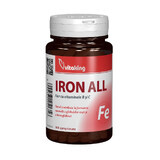 Iron with vitamins B and C, 100 tablets, Vitaking