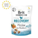 Snack voor honden Recovery Haring, 150 g, Brit