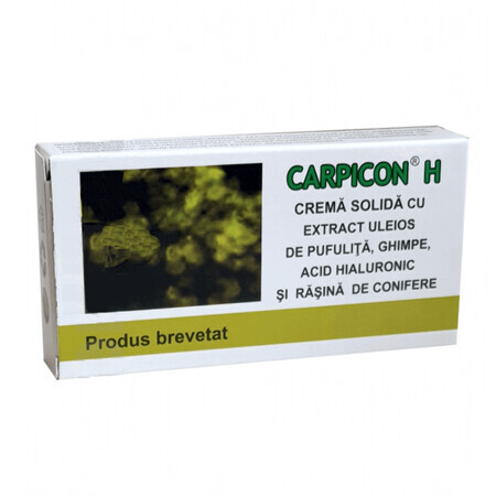 Carpicon H Supposta 1.5g supposte 1.5g blister - 10 pz, Elzin Plant