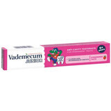 Junior strawberry-flavoured toothpaste, 6 years+, 75 ml, Vademecum