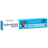 Toothpaste with mint flavour Junior, 6 years+, 75 ml, Vademecum