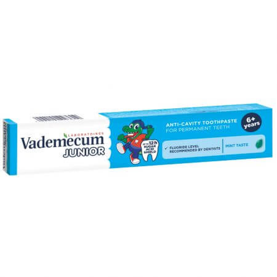 Dentifrice à la menthe Junior, 6 ans+, 75 ml, Vademecum