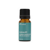 Eucalyptus essential oil, 10ml, Sabio