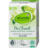 Alverde Naturkosmetik Shampoo solido per la lucentezza dei capelli Pro Climate, 60 g