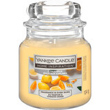 Yankee Candle Citrus Spice Geurkaars, 104 g