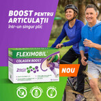 Fleximobil Collagen Boost, 30 sachets, Fiterman