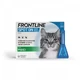 Frontline
