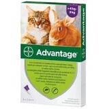 Antiparasitaire oplossing voor cutane toepassing bij katten en konijnen vanaf 4 kg Advantage 80 Cat / Rabbit, 4 pipetten, Bayer Vet OTC