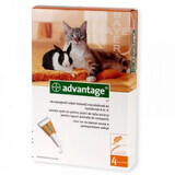 Antiparasitaire oplossing voor cutane toepassing bij katten en konijnen tot 4 kg Advantage 40 Cat/Rabbit, 4 pipetten, Bayer Vet OTC