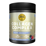 Collagen Complex with berry flavour, 300 g, Gold Nutrition