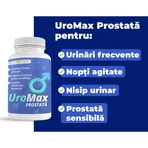Uromax Prostaat, 30 tabletten, Health Dose