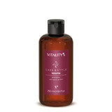 Vitality's Care&amp;Style Volume Conditioner 250ml