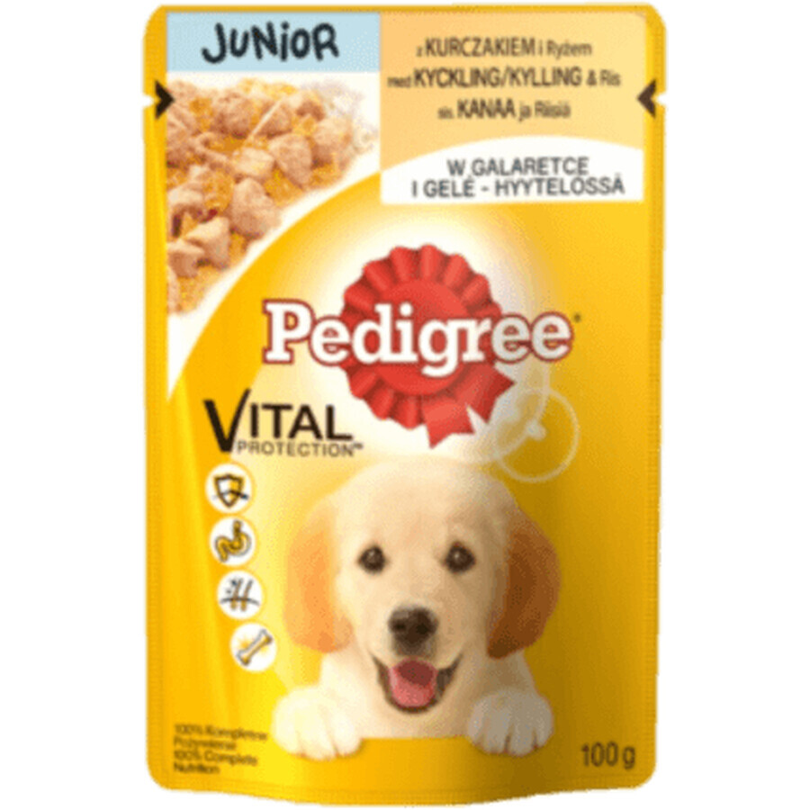 Pedigree Hrană umedă câine junior cu pui și orez, 100 g