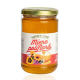 Honey Line polyfloral honey, 400 g, Apisrom