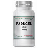 Paducel Extract, 500 mg, 60 capsules, Cosmo Pharma