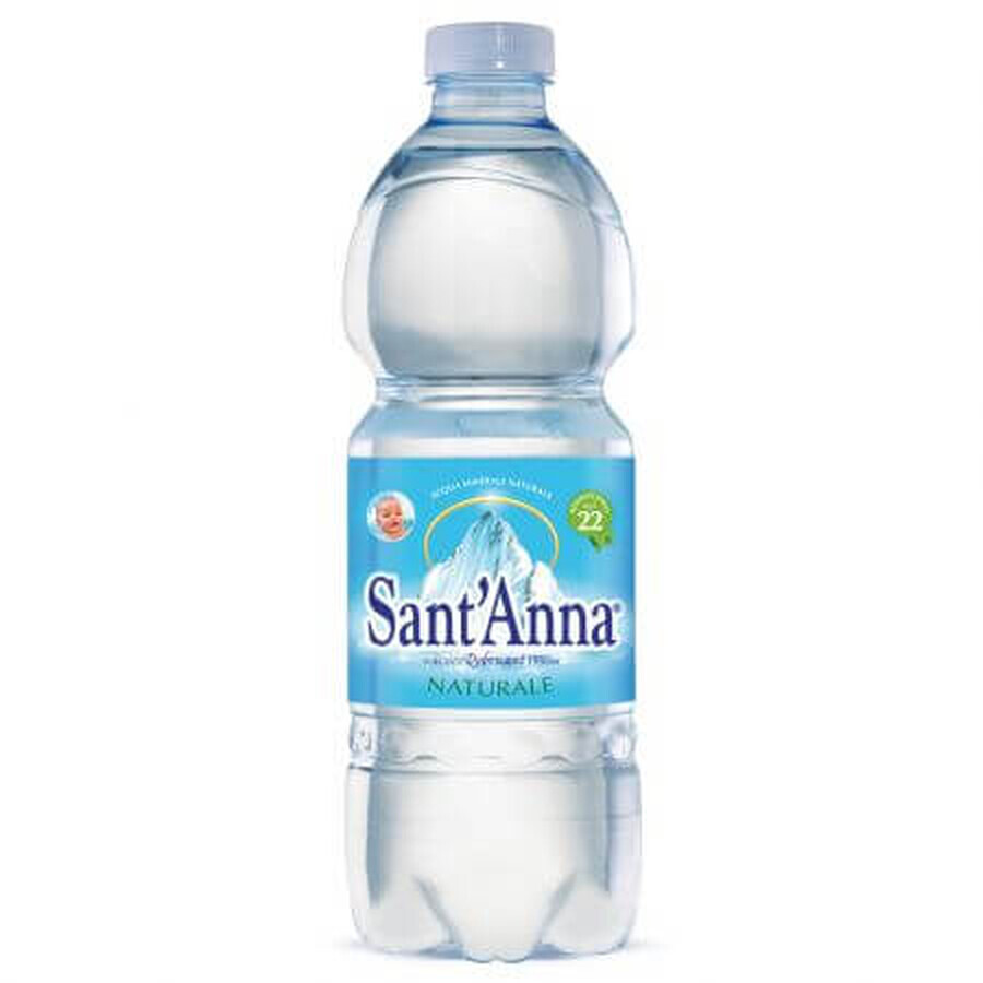 Zilvermineraalwater, 0,5 l, Sant Anna