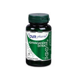 Ashwagandha-extract, 60 capsules, DVR Pharm