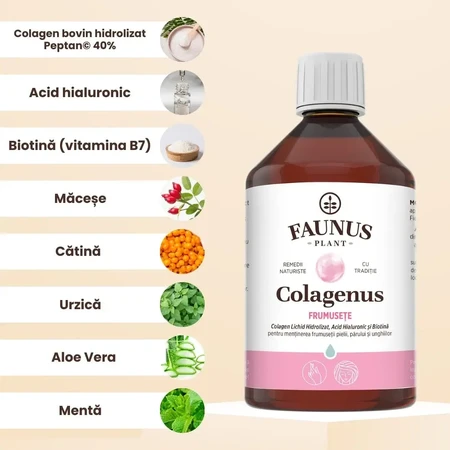 Colagenus Schoonheid, 500 ml, Faunus Plant