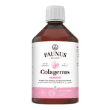 Colagenus Schoonheid, 500 ml, Faunus Plant