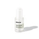 Veganistisch collageen, elastine en hyaluronzuur serum, 30 ml, Aimee