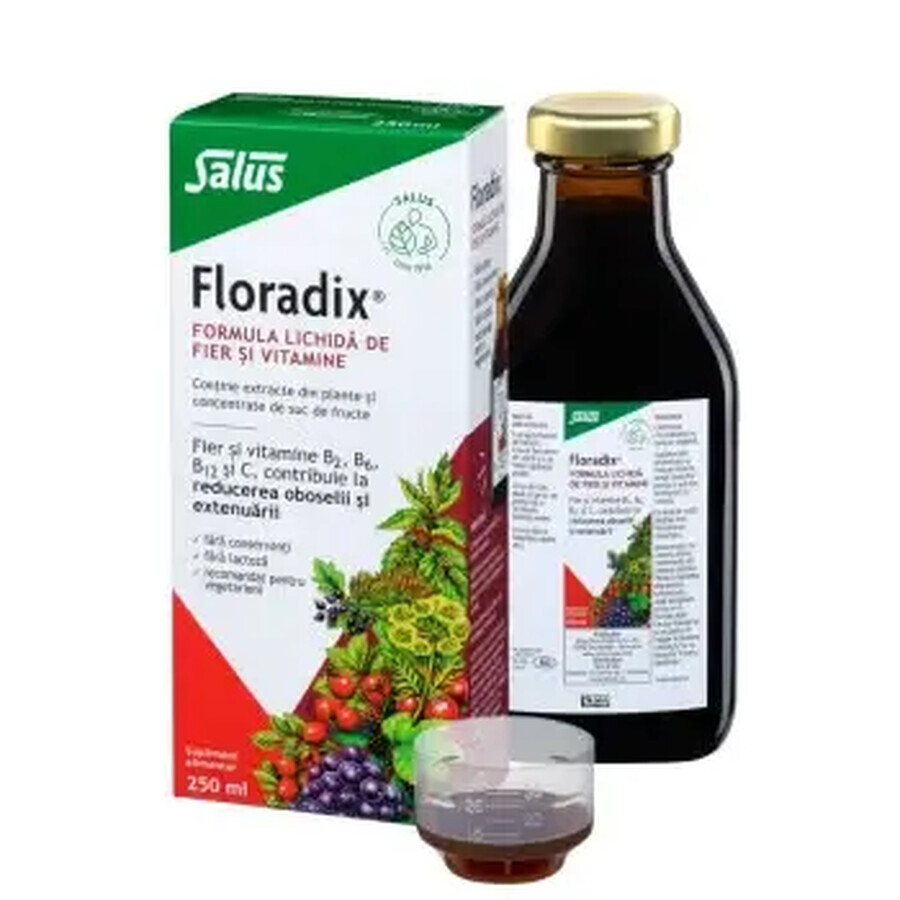 Floradix® vloeibare ijzer- en vitamineformule, 250 ml, Salus