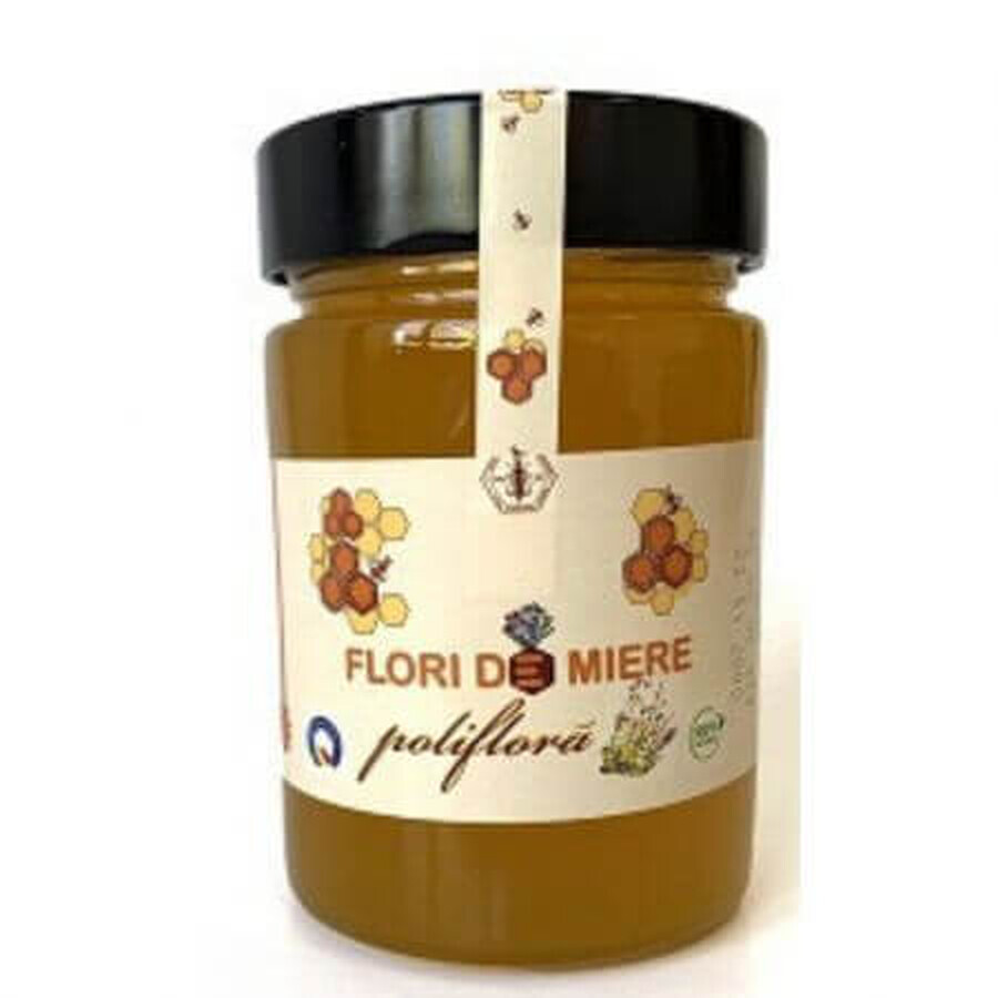 Polyfloraler Honig, 450 g, Institut für Bienenzucht