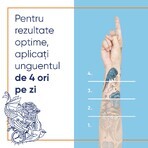 Unguent pentru ingrijirea tatuajelor Bepanthen Tattoo, 50 g, Bayer