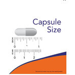 Hyaluronzuur 50 mg + MSM x 60 cps, Now Foods 