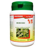 Busuioc, 40 capsule, Favisan