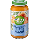 DmBio Menu spaghetti bolognese with lentils, from 12 months, 250 g