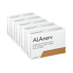 Alanerv Pack, voedingssupplement voor het zenuwstelsel, 100 (5x20) softgels, Alfasigma