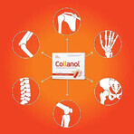 Collanol pakket, 2 x 20 capsules, Vitaslim