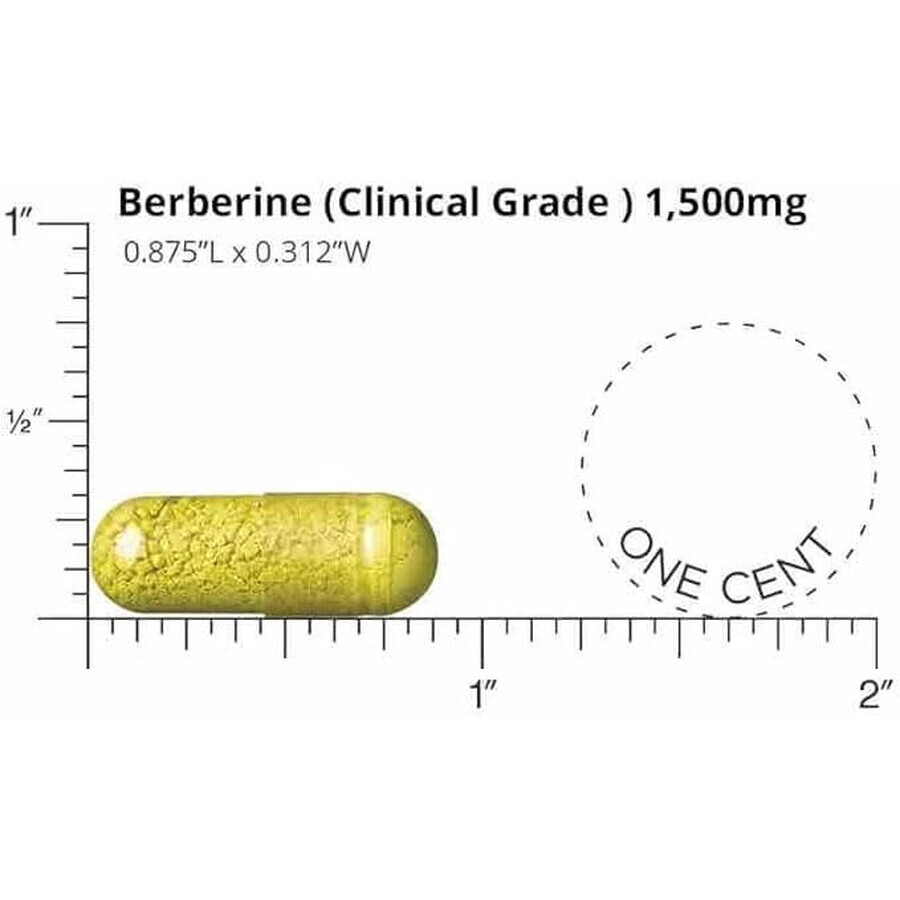 Doctors' Prefered ® Berberina di grado clinico, Berberina 500 mg, 90 cps, GNC