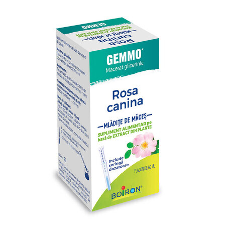 Rosa Canina Gemmo papaver extract, 60 ml, Boiron