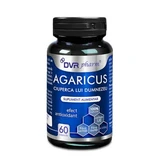 Afaricus Mushroom of God, 60 capsules, DVR Pharm