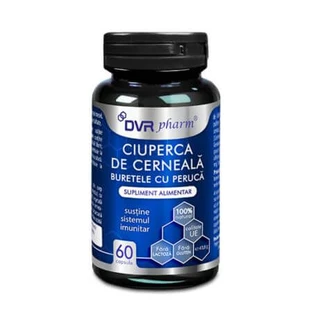 Ink powder, 60 capsules, DVR Pharm